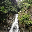 El Yunque Rain Forest in Puerto Rico