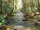 Chester Creek by MarcnNJ in Trail & Blazes in Georgia