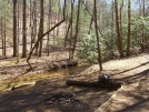 Justus Creek by MarcnNJ in Trail & Blazes in Georgia