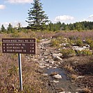 Lord Brion Bearclaw by Lord Brion Bearclaw in Thru - Hikers