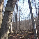 Appalachian Views by linus72 in Section Hikers