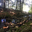 Appalachian Views by linus72 in Section Hikers