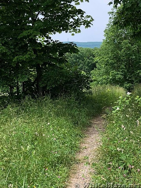 Appalachian Views