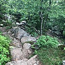 Appalachian Views by linus72 in Section Hikers