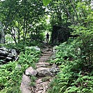 Appalachian Views by linus72 in Section Hikers