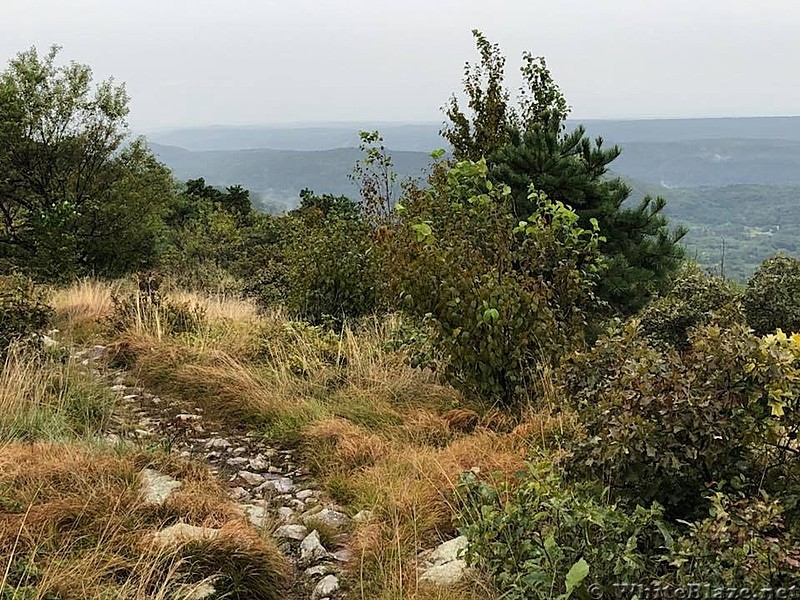 Appalachian Views