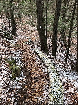 Appalachian Views