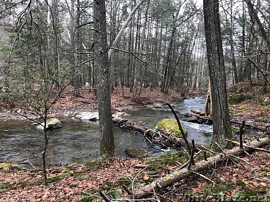 Appalachian Views