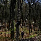 Appalachian Views by linus72 in Section Hikers