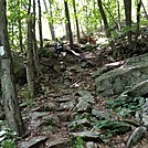 Appalachian Views by linus72 in Section Hikers