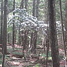 Appalachian Views by linus72 in Section Hikers