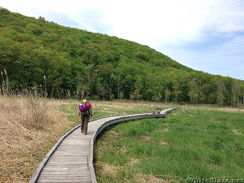 Appalachian Views