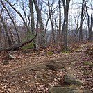 Appalachian Views by linus72 in Section Hikers