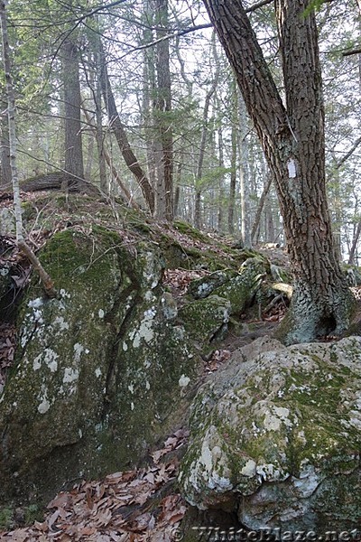 Appalachian Views