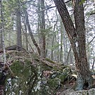 Appalachian Views by linus72 in Section Hikers