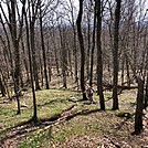 Appalachian Views by linus72 in Section Hikers