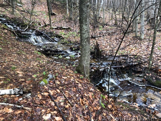 Appalachian Views