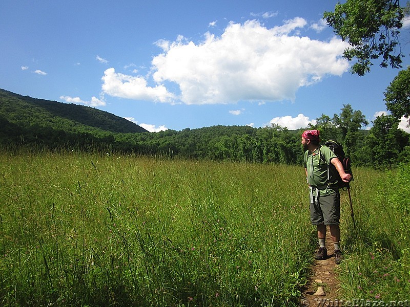 Appalachian Views