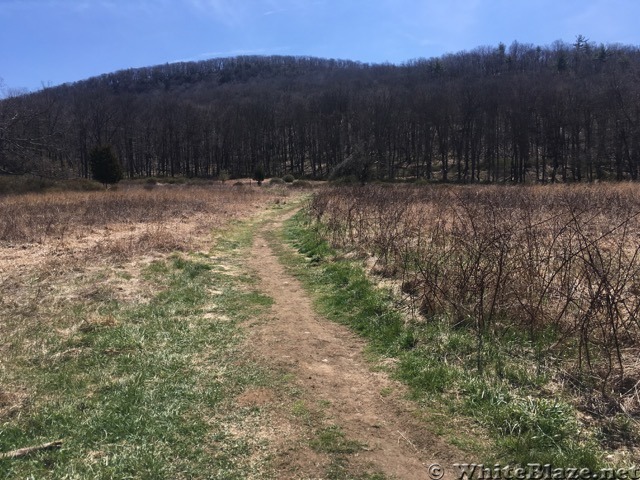 Appalachian Views