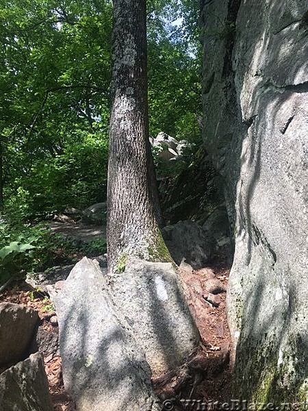 Appalachian Views