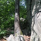 Appalachian Views by linus72 in Section Hikers