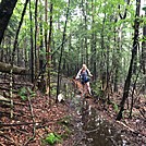 Appalachian Views by linus72 in Section Hikers