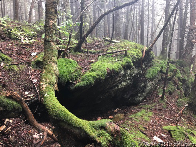 Appalachian Views