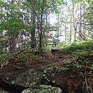 Appalachian Views by linus72 in Section Hikers