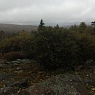 Appalachian Views by linus72 in Section Hikers