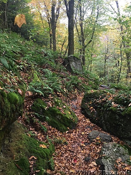 Appalachian Views