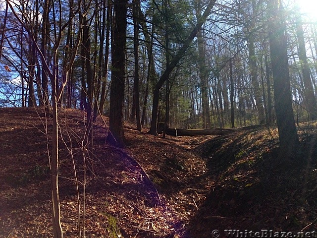 Appalachian Views