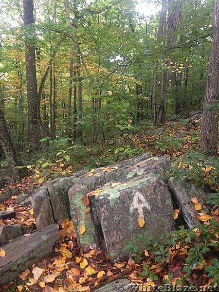 Appalachian Views