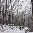 Appalachian Views by linus72 in Section Hikers