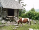 Thomas Knob w/ pony by Jerm in Virginia & West Virginia Shelters