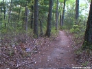 Picture_004 by slowpoke in Trail & Blazes in Virginia & West Virginia