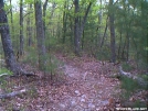 Picture_006 by slowpoke in Trail & Blazes in Virginia & West Virginia
