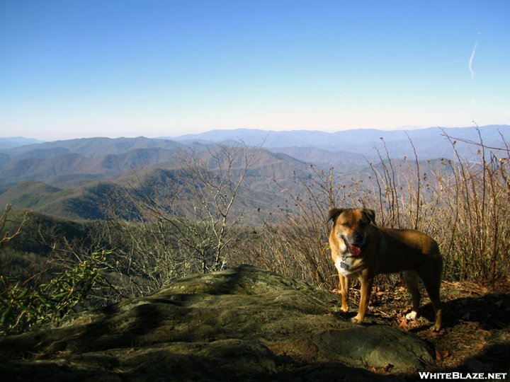 Suzi on Cheoah Bald