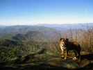 Suzi on Cheoah Bald