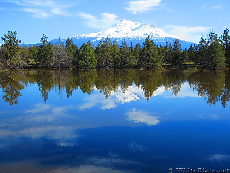 Mt. Shasta, CA