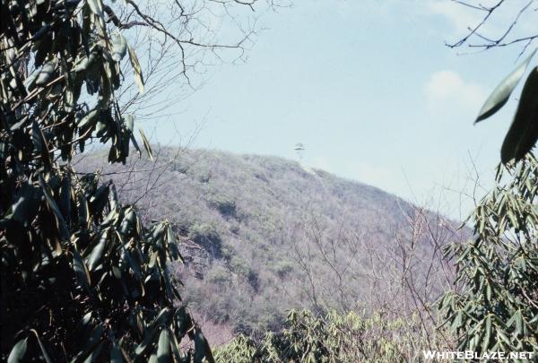 Mt. Albert Firetower