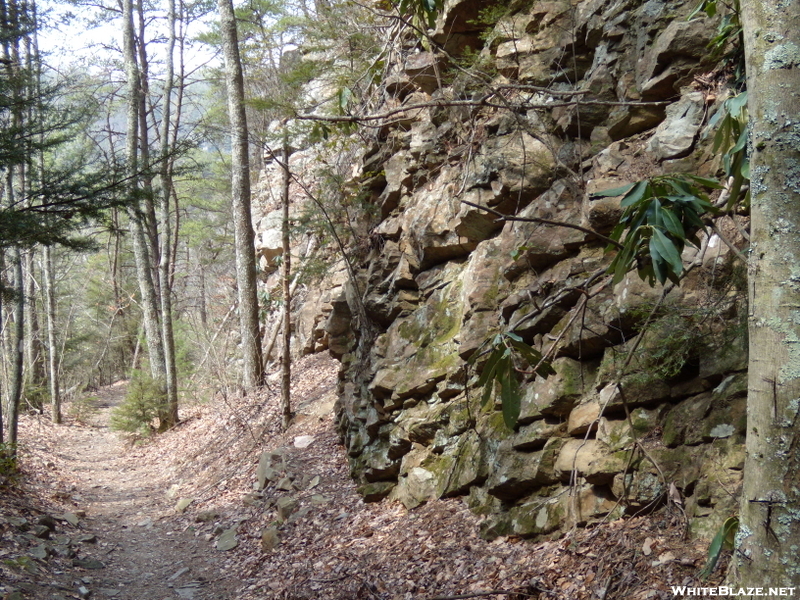 Laurel Fork Gorge