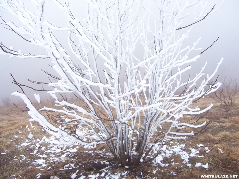 Ice On Max Patch