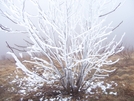 Ice On Max Patch by BobTheBuilder in Views in North Carolina & Tennessee