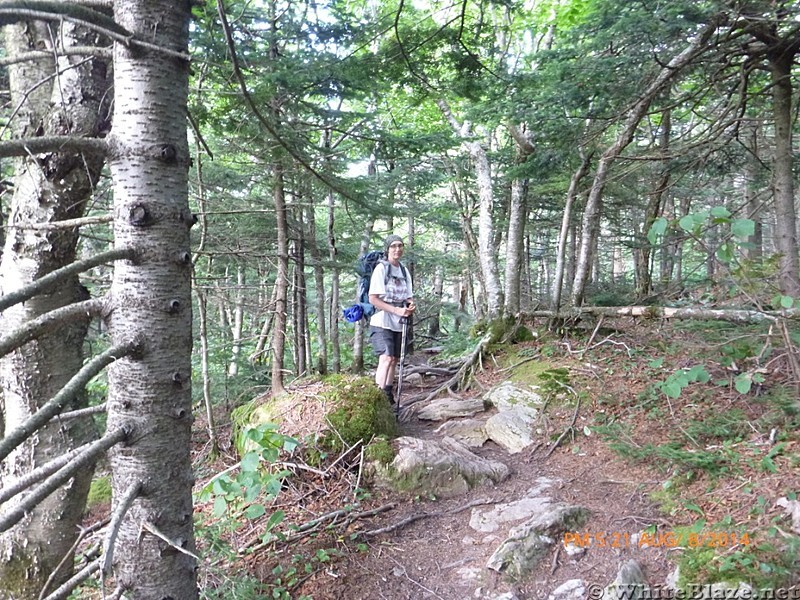 JOT NEAR GREYLOCK