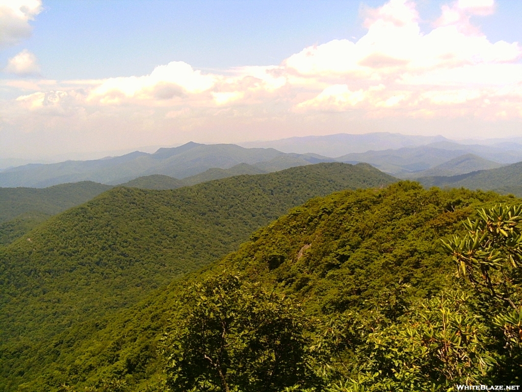 Georgia summer