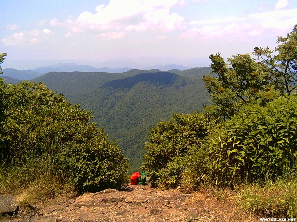 Georgia summer