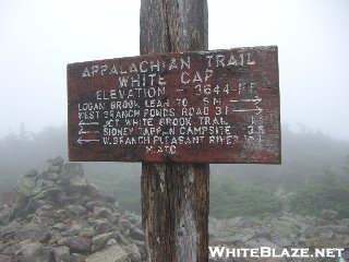 White Cap Sign