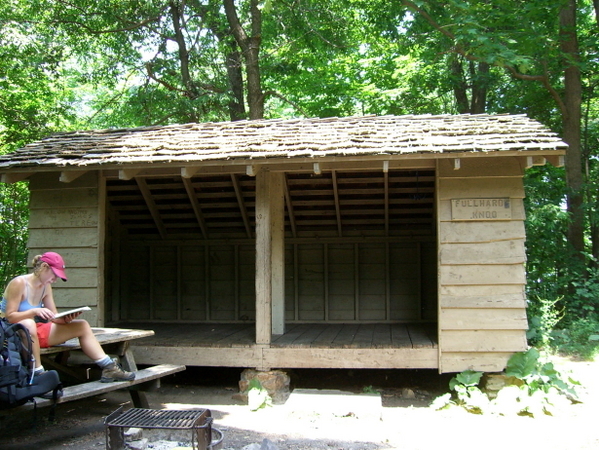 Galloping Gazelle At Fullhardt Knob Shelter