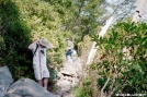 Trail At Sunfish Pond