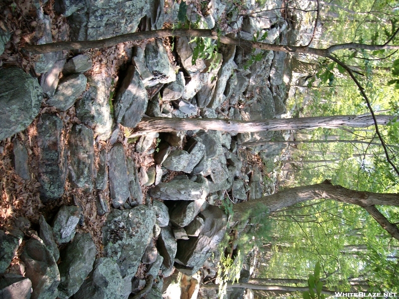 Appalachian Trial-pen Mar-boonsboro-2010 008